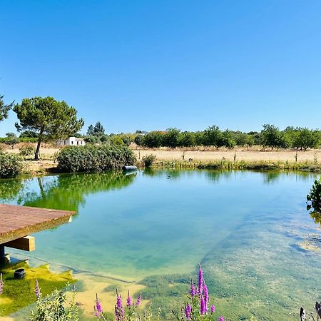 Glamping On Organic Yoga Farm With Natural Swimming Pool Near Beach Moncarapacho Exterior foto
