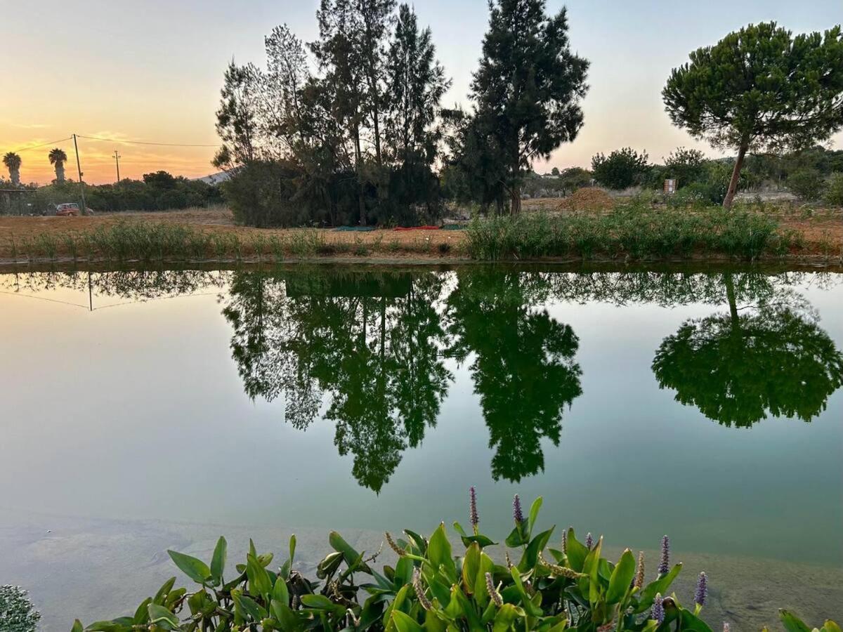 Glamping On Organic Yoga Farm With Natural Swimming Pool Near Beach Moncarapacho Exterior foto
